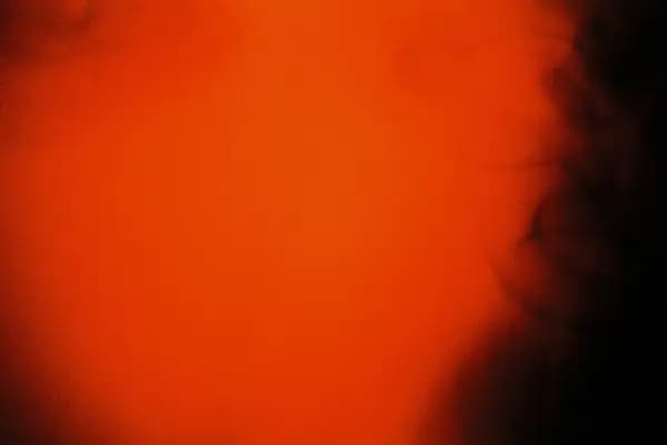 Harman Red - First Roll — frame 2